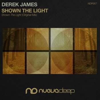 Derek James Shown the Light - Original Mix
