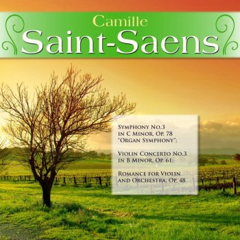 Camille Saint-Saëns feat. Slovak Philharmonic Orchestra;Bystrik Rezucha;Camille Saint-Saens Symphony No.3 in C Minor, Op. 78 "Organ Symphony": I. Adagio - Allegro moderato - Poco Adagio