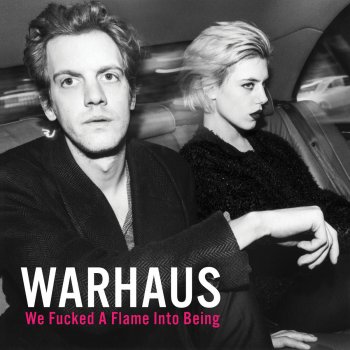 Warhaus Against the Rich