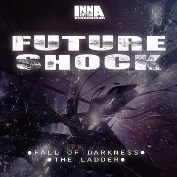 Future Shock The Ladder