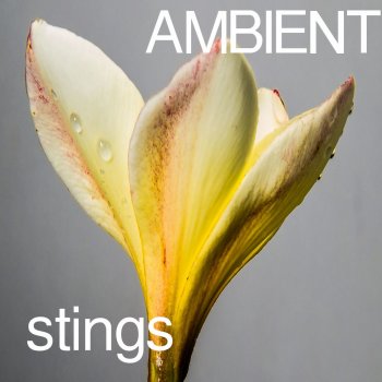 Daniel LeBlanc Dark Terror