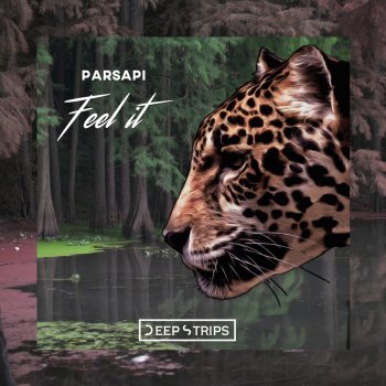 PARSAPI Feel it