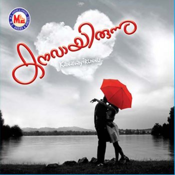 Vineeth Sreenivasan Meymasam