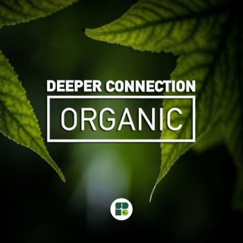 Deeper Connection Organic - Original Mix