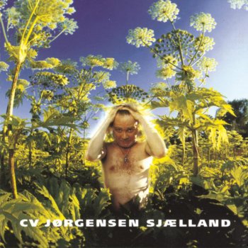 C.V. Jørgensen Spildte bedrifter