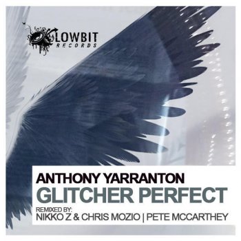 Anthony Yarranton Glitcher Perfect (Nikko Z & Chris Mozio Remix)