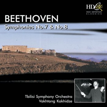 Ludwig van Beethoven feat. Tbilisi Symphony Orchestra Symphony No. 7 in A Major, Op. 92 : II. Allegretto