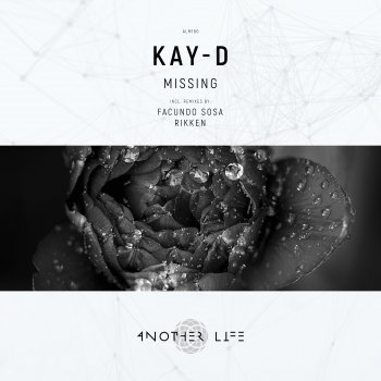 Kay-D Missing (Rikken Remix)