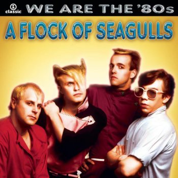 A Flock of Seagulls Remember David