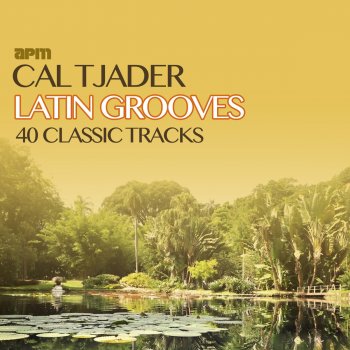 Cal Tjader Undecided