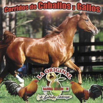 La Original Banda El Limón de Salvador Lizárraga Sangre Caliente