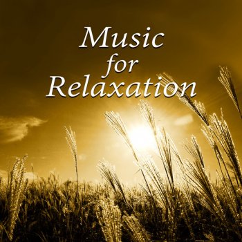 Joga Relaxing Music Zone Chakra Healing