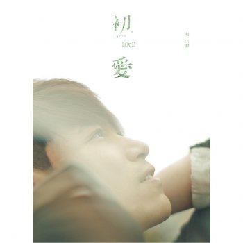 楊宗緯 初愛