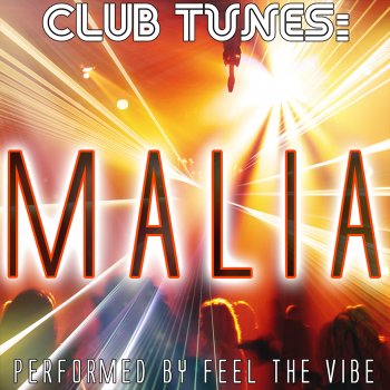 Feel the Vibe Dirtee Disco