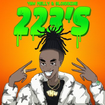 YNW Melly feat. 9lokknine 223's (feat. 9lokknine)