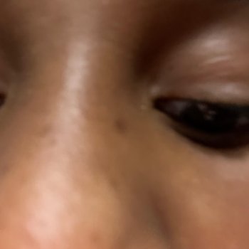 Исполнитель Kaimani, альбом WHY?!