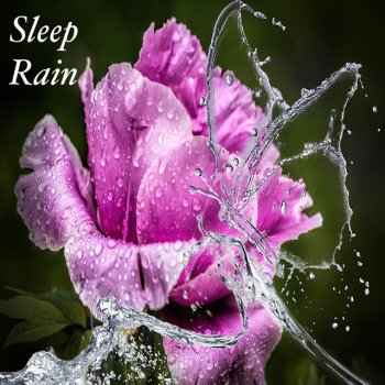 Rain Recorders Rain to Fall Asleep to