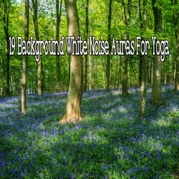 White Noise Relaxation The Power To Sleep