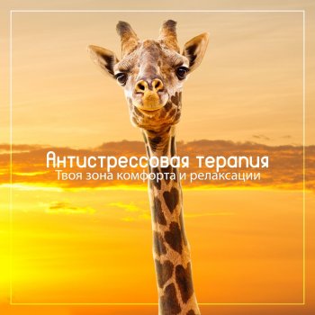 Anti Stress Music Zone Ночные цветы