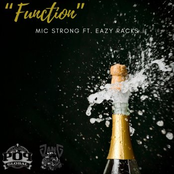Mic Strong feat. Eazy Racks Function (feat. Eazy Racks)