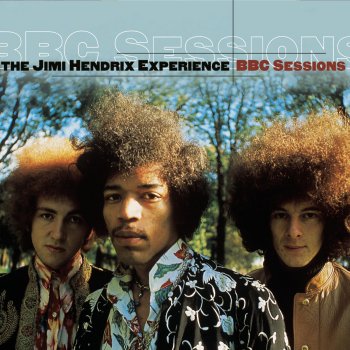 The Jimi Hendrix Experience Can You Please Crawl Out Your Window?