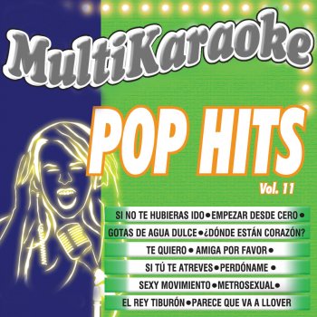 Multi Karaoke Parece Que Va A Llover