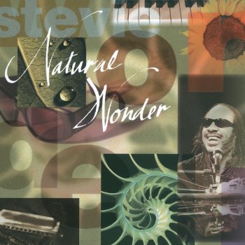 Stevie Wonder Higher Ground (Natural Wonder Live)