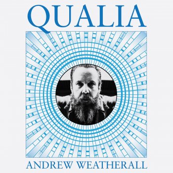 Andrew Weatherall Saturday International