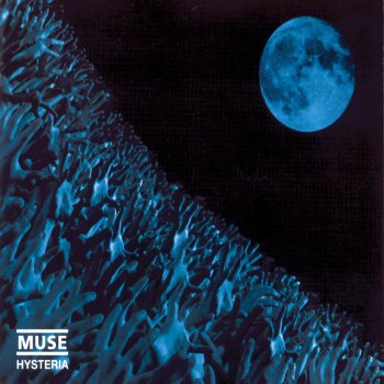 Muse Eternally Missed