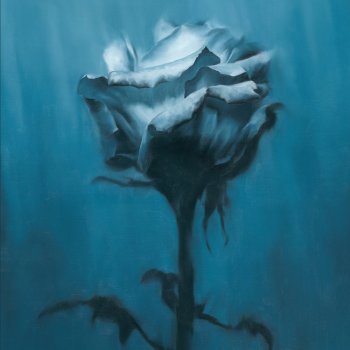 waterweed All our wishes