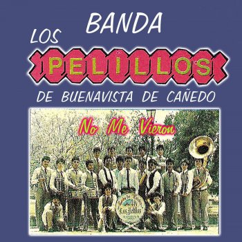 Banda Pelillos La Zopilota