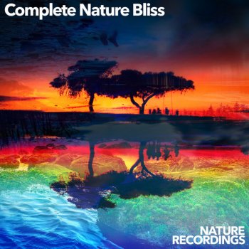 Nature Recordings Tulips Planet