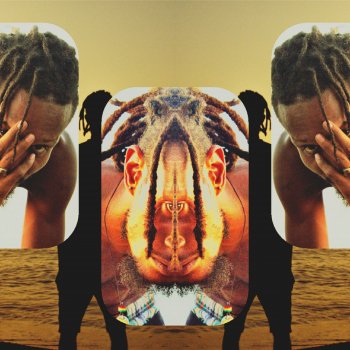 Harlem Richard$ Reflection