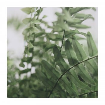 Исполнитель Study Success, альбом Study and Focus Better