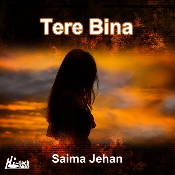 Исполнитель Saima Jehan, альбом Tere Bina