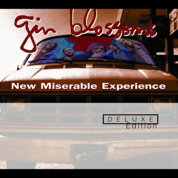 Gin Blossoms Cheatin'