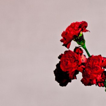 John Legend For the First Time