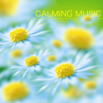 Calming Music Academy Concentration