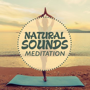 Nature Sounds Meditation Lakeside Afternoon