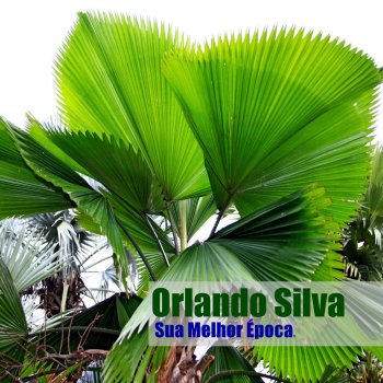 Orlando Silva Dom Quixote