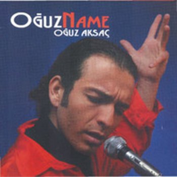 Oğuz Aksaç Çiçekli Yaz