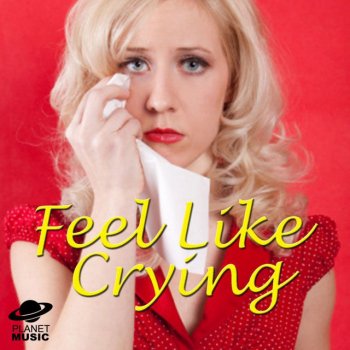 The Hit Co. Tears On My Pillow