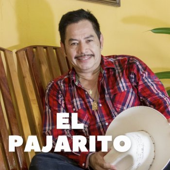 Francisco Orantes Volvió En Pedazos