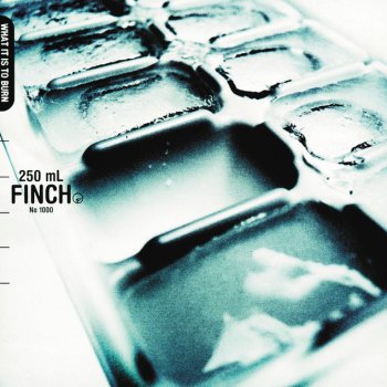 Finch Letters To You
