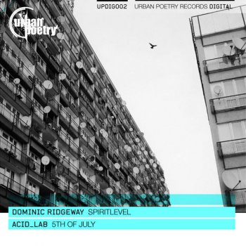 Исполнитель Dominic Ridgway, альбом Spiritlevel / 5th Of July