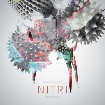 Nitri The Map