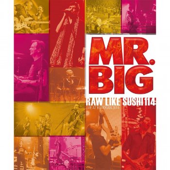 Mr. Big The Light of Day (Live)