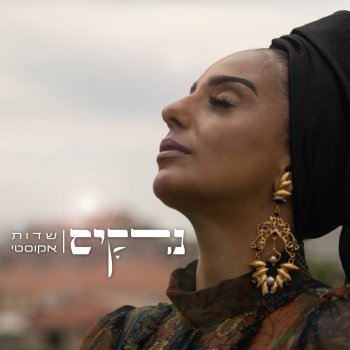נרקיס שדות - Acoustic Version