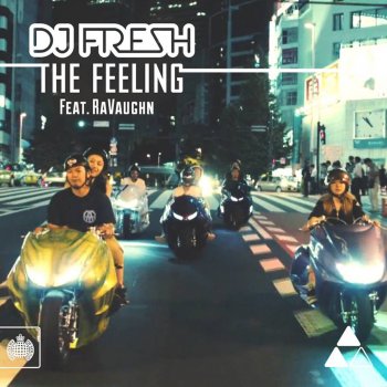 DJ Fresh The Feeling (Extended Mix)