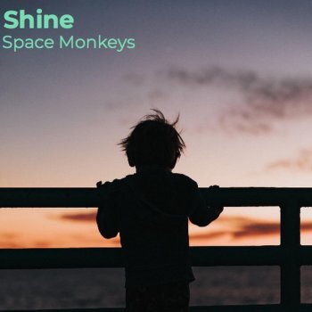 Space Monkeys Shine